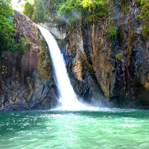Graines de Canyons